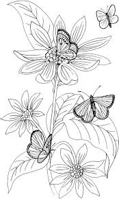Zentangle stylized cat and duck. Butterfly Coloring Pages 17 Purple Kitty Tsgos Com
