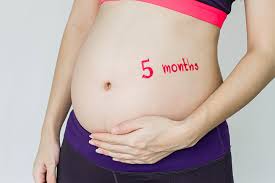 2 1/2 months pregnant but huge belly (bloated?) a. 5 Months Pregnant Symptoms Belly Size Baby Development