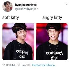 Pin By Sel 95 On Cool K Pop Kids Kid Memes Lee Know Funny Facts