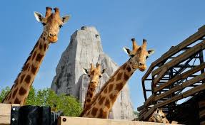 Zoo de Paris Vincennes en famille