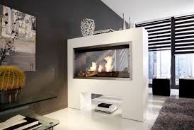 Modern, contemporary and traditional designs. Fireplace Insert 2 Way Fireplace Insert