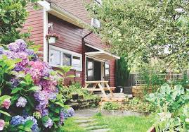Check spelling or type a new query. An Engaged Resident S Thoughts On Life In Cook Street Village Yam Magazine