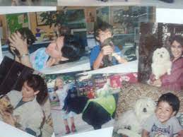 Amy joined our team in the spring of 2005. Pets First Veterinary Clinic Home Facebook