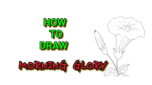 How To Draw Morning Glory Flowers Easy Steps For Beginners Tutorial Youtube Bouquet of morning glory flowers drawing and sketch. how to draw morning glory flowers easy steps for beginners tutorial