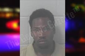 Avery Sims: https://thegeorgiagazette.com/newton/avery-sims-4/