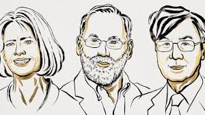 Doris Steiner (EVP) im Porträt