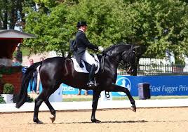 Dorothee schneider had chosen the perfect track for her gelding showtime frh at the olympic games 2016 in rio. Dorothee Schneider Alchetron The Free Social Encyclopedia