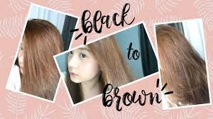 Sally beauty offers a variety of salon professional hair lighteners and hair bleaches to lift some of the natural color out of your hair and make way for new hair color. Diy Hair Dye No Bleach Philippines Pixiepeach Youtube