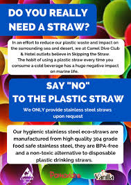 Say no to plastic straws is what it wants to say btw. Skip The Straw Poster Scubaverse