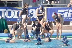 We did not find results for: Pallanuoto Femminile Ekipe Orizzonte Riceve Plebiscito Per Gara 3 Della Finale Scudetto Blogsicilia Ultime Notizie Dalla Sicilia