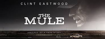 Free shipping on your first order shipped by amazon. The Mule Cruises Along But It S Satisfying Flickchat Tv