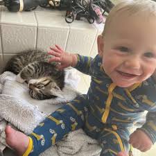 SPCA OF NORTHERN NEVADA