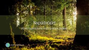 Az az időpont, amikor (látszólagos). Napudvozlet Nyari Napfordulos Erdofurdo Jogaval Budai Hegyseg Szekesfehervar 21 June 2021
