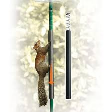All it requires is attaching the slinky to the top of the bird feeder pole and letting it hang down to the ground. Squirrel Slinky Sq Sl Rwbf Co