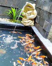 Kolam ikan koi ini bisa dibangun dimana saja, baik itu di halaman belakang rumah, teras rumah, bahkan di dalam namun untuk jenis ikan koi, bentuk kolam harus dibuat berundak dan memiliki air terjun buatan. 29 Ide Kolam Ikan Minimalis Kolam Ikan Kolam Ikan