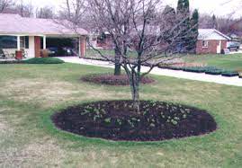 Maybe you would like to learn more about one of these? Pictures Of Landscape Designs