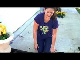 We did not find results for: Discount Landscaping Supplies 07 2021