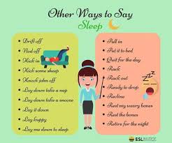 Other Ways To Say Sleep Bahasa Inggris Bahasa Kucing Cantik