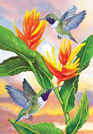 Black Chinned Hummingbirds And Golden Heliconia Hummingbird Pictures Hummingbird Art Birds Painting