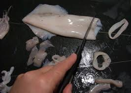 Kalmar schnabel kalmar schnabel im test und/oder vergleich video. Vom Tier Zum Tintenfischring Wissenskuche