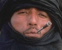 Beyond the Wall: Exploring George R. R. Martin's A Song of Ice and Fire by  James Lowder