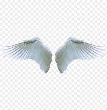 Angel Wing Png Picture Transparent Stock Guardian Angel Angel Wings Png Image With Transparent Background Toppng Angel wing wings fantasy statue female figure woman mystical. guardian angel angel wings png image