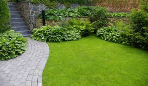 We did not find results for: How To Use 10 10 10 Fertilizer In Your Garden And Lawn