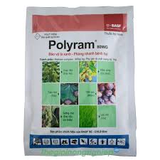 Polyram 80WG.