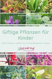 Achtung Giftige Pflanzen Diese Pflanzen Solltest Du Im Familiengarten Meiden Emil Steht Kopf In 2020 Giftige Pflanzen Pflanzen Familiengarten