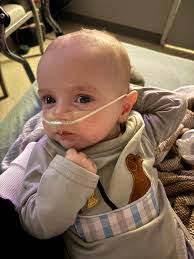 Mary Redler's Instagram, Twitter & Facebook