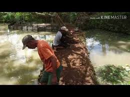 Proses Pasang Asbes Untuk Dinding Kolam Ikan Youtube