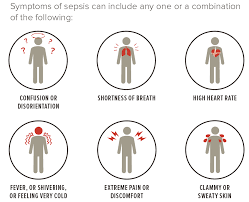 It's always a medical emergency, and can be fatal if not caught early. Https Cha Com Wp Content Uploads 2018 07 Sepsis 101 Pdf