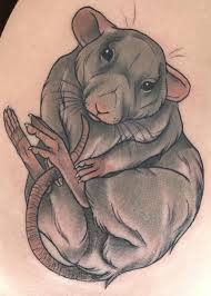 Pin On Little Tattoo For Ladies