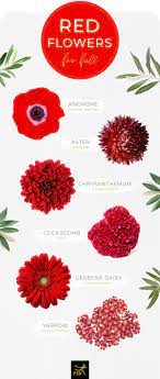 Here are ten popular types of bridal bouquets to give you a head start: 40 Types Of Red Flowers Ftd Com