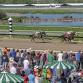 PA Bred Stakes @ Parx Racing event image