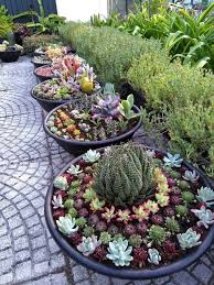 1001 Idees Fantastiques De Decor Avec Plantes Grasses D Exterieur Plantes Grasses Grands Pots De Jardin Jardin De Plantes Grasses