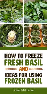 How To Freeze Fresh Basil Kalyn S Kitchen Freezing Fresh Herbs Fresh Basil Recipes Basil Recipes