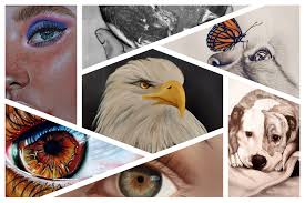 Profile for Drawings By Adriana