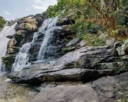 Image of Thoovanam Falls Munnar