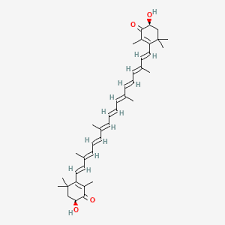 Image result for Astaxanthin