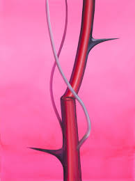 Bildergebnis für Wanda Koop