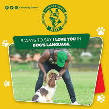 Don't be embarrassed to use your dog voice. 8 Ways To Say I Love You In Kaisha Dog Trainers Uganda Facebook
