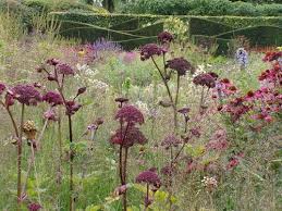 Piet Oudolf Gardens Natural Garden Landscape Design Prairie Planting