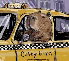 Adam M. Gustavson | #natureisamazing . . . #taxi #taxidriver #cabdriver  #yellowcab #capybara #capybaramemes #capybarasofinstagram #dadjoke #puns  #drawing… | Instagram