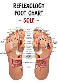 Foot Maps Reflexology Foot Maps Reflexology Foot Map Foot Reflexology Reflexology