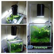 Maybe you would like to learn more about one of these? Terjual Led Diy Aquascape Reef Tank Depok Kaskus