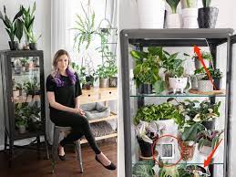 My grow lights turn on for 14 hours a day, and are simply controlled by a mechanical timer on a power strip. How To Turn An Ikea Fabrikor Cabinet Into A Greenhouse For Houseplants