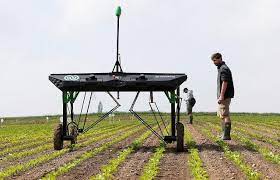 Low amounts of rainfall or irrigation can reduce chemical breakdown of metribuzin leading to crop injury. Robots Can Replace Pesticides In Ai Revolution