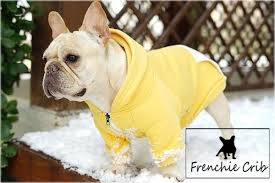 Here are some fun clothes for owners and fans! French Bulldog Harness Webstore Is Based On Shopify By French Bulldog Harness Medium