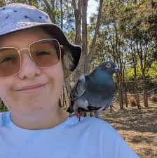 where to take an injured bird in Redbank Plains?